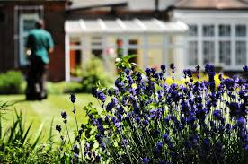 We've used their services for years. Lawn Mowing Services Ed S Garden Services