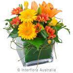 Buchen sie ihre nächste ferien online! Lisas Flowers Flowersfromlisa Profile Pinterest