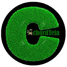 Chord dasar kunci gitar & lirik lagu ©chordtela.com. Chord Kunci Gitar Chordtela Apk Download App Android