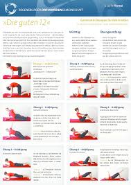 Geräten für das rückentraining kann man die muskeln trainieren. Ubungen Rucken Lendenwirbelsaule Orthopade Regensburg Facharzt Physikalische Und Rehabilitative Medizin Orthopadie Experte Praxis