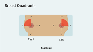At the time of my diagnosis, i had 7 cysts in my breast, unrelated to the cancer (but along with cancer). Breast Cancer Lumps Where Are They Usually Found
