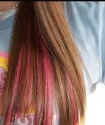 Pink Streak In Brown Hair Pink Hair Streaks Red Hair Streaks Hair Streaks