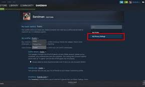 Manage your account, shop, stay up to date with games and the community. How To Hide Your Activity On Steam Informatique Mania