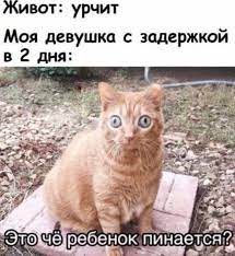 Мемы и приколы про «это». Выпуск 86 » Невседома