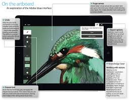 How To Create Illustrations With Adobe Ideas Tutorial Icreate Illustration Tutorial Ipad Art