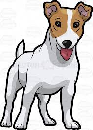 Jack Russell Terrier Puppy Black And Brown A Friendly Jack Russell Terrier Puppy Jack Russell Terrier Puppies Jack Russell Puppy Cartoon