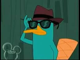 If you wish to know other wallpaper, you could see our gallery on sidebar. Perry The Platypus Stan On Twitter I M Perry The Platypus And Ihavewonpennsylvania