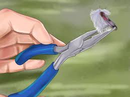 By continuing to use this site you consent to the use of cookies on your device as described in our cookie policy unless you have disabled them. How To Clip A Small Bird S Wings 12 Steps With Pictures