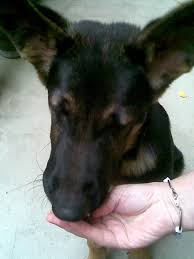 We also offer conference facilities. Eat DefiniÈia Èi Sinonimele Eat In DicÈionarul EnglezÄ