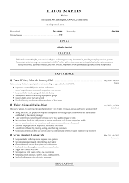In addition to design elements, a great resume format takes into account how best to organize your information to showcase this format can be difficult for atss and recruiters to scan. Waiter Resume Writing Guide 12 Samples Pdf 2019