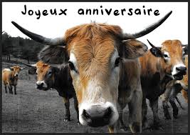 Check spelling or type a new query. Des Cartes D Anniversaire Animees Au Format Gif