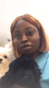 james oto (@safari905)