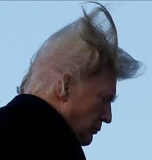 This makes me want to switch my guy character to a girl.but.i don't want to be that guy.but i love good hair styles. Kevin M Kruse On Twitter Trump Paid 70 000 For Hair Styling