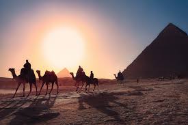 Jun 01, 2015 · albert einstein was a physicist who developed the general theory of relativity. 500 Stunning Egypt Pictures Scenic Travel Photos Download Free Images On Unsplash