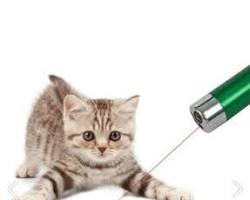 Lazer kedi oyuncağı resmi