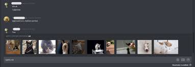 Our fortnite discord bot's stats commands ensure that your server's stats are just a command away. Most Useful Chat And Bot Commands In Discord 2021