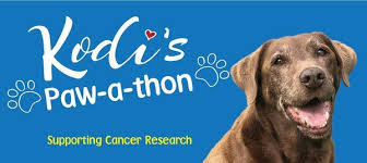 For victorian residents, there is no cost other than a postage fee ($6.60 payable online using a secure credit card system). Kodis Pawathon Fundraise For Cancer Council Animal Research Maribyrnong River Trail Essendon West Vic 3040 Australia 23 May 2021
