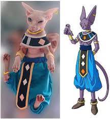 Maybe you would like to learn more about one of these? Amazon Com Khemn Luxury ä¸¨handmade ä¸¨100 Cotton Dragon Ball Star Cat Beerus Costume Cat Fashion Clothes Best For Hairless Cat 3 5 Months Pet Supplies