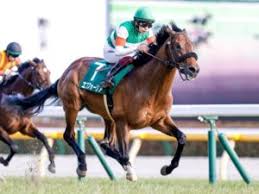 Open in app install viewer app. çšæœˆè³ž 2021 äºˆæƒ³ ç©´é¦¬ æž é †ç¢ºå®š ç©´ç™ºæŽ˜ã«ç‰¹åŒ–ã—ãŸå¤§å¥½è©•ã®ã‚¹ã‚¿ãƒƒãƒ•åº§è«‡ä¼š åå‰ãŒæŒ™ãŒã£ãŸä¼å…µã¨ã¯ ç«¶é¦¬äºˆæƒ³ã®ã‚­ãƒ³ã‚°ã‚¹ãƒãƒ¼ãƒ„