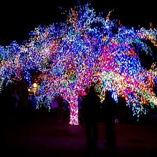 We did not find results for: The Magic Tree Other Great Outdoors In Village Of Cherry Hill