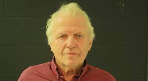 Horse dies after being dragged behind truck; owner charged with animal  abuse