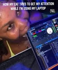 Stahppppppppppo I need more where this came from.