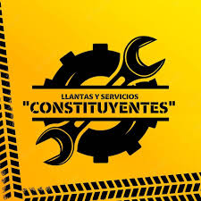 Multiservicios Constituyentes