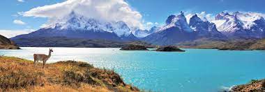 Adventure Patagonia Edelweiss Bike Travel