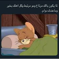 تـ الـين 𓃠 fun quotes funny funny picture quotes funny text memes