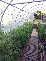 Amenagement De Serre D Un Client En 2020 Serre Jardin Jardin Francais Serre