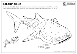 Select from 35919 printable crafts of cartoons, nature, animals whale coloring pages free coloring sheets animal coloring pages coloring pages to print free printable. Fishy Fun Sheet Whale Shark Colour In Department Of Primary Industries And Regional Development