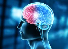 Image result for Concussion