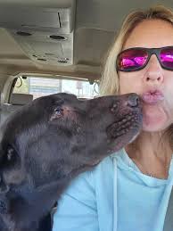 Remembering my loyal lab rescue dog