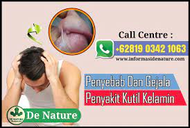 Check spelling or type a new query. Ubat Ketuat Kelamin Lelaki Di Farmasi Mengenai De Nature Di Malaysia Review De Nature