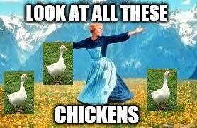 S> golden chicken 1m per pc (they give golden eggs). Look At All These Meme Imgflip