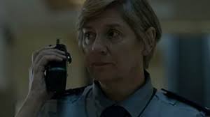 Case Histories (TV Series 2011–2013)