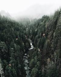 Whatinspiresdancaji Outdoors Adventure Explore Nature Wild Forest