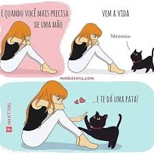 Gratidao Pelas Patinhas Da Minha Vida Maedepet Filhode4patas Maedecachorro Paidecachorro Maedegato Paidegato Memes De Gatos Humor De Gatos Animais