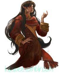 Genderless Androgenous Wood Elf High Elf Sorcerer Noble Red Robes Long Black Hair Elf Art Fantasy Character Design Character Design Male