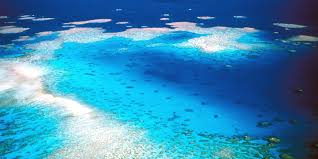 One of the world's seven natural wonders, it is a prized world heritage area, the largest coral reef system and the biggest living structure on the planet. Weltnaturerbe Great Barrier Reef Ist In Gefahr