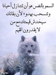 Check spelling or type a new query. Ø®Ù„ÙÙŠØ§Øª Ø°Ø¦Ø¨