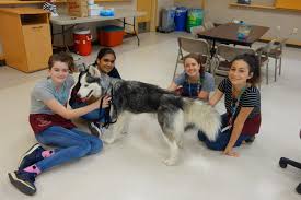 To learn more about each adoptable dog, click on the i icon for some fast facts, or click on their name or photo for full details. Youth Volunteers Oregon Humane Society