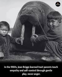 “Mastering Emotions: The Inuit Way of Cultivating Calm in a Chaotic ...