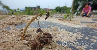 각각 컵 , 컴퍼스 를 의미한다. ê°€ë­„ ì´ì–´ ì—¬ë¦„ì²  íƒœí' ë¹„ìƒ ë†ì‹í'ˆë¶€ ë†ì—…ìž¬í•´ëŒ€ì±… ë§ˆë ¨ ì—°í•©ë‰´ìŠ¤