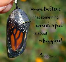 Always Believe Butterfly Quotes Butterfly Chrysalis Monarch Butterfly