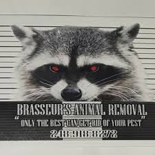 While most pesticides are designed to only affect the target pest, other insects or animals may sometimes be harmed. Top 10 Best Animal Removal Services In Ann Arbor Mi Angi