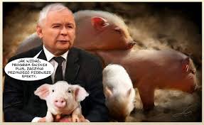 Mem o tematyce jarosław kaczyński, kaczyński, ląd, obrazek związany ze słowami kaczyński jarosław kaczyński mem agnieszka pomaska. Pin On Political Comic