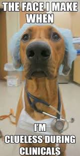 The Face I Make When I M Clueless During Clinical Funny Animal Pictures Medical School Humor Funny Animal Memes