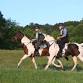 Distance Days – 90th Annual 100-Mile Competitive Trail Ride
