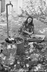 Rezultate imazhesh për berit backer